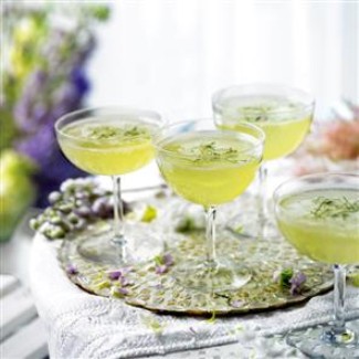 Cucumber Mint Elderflower Champagne Cocktails 